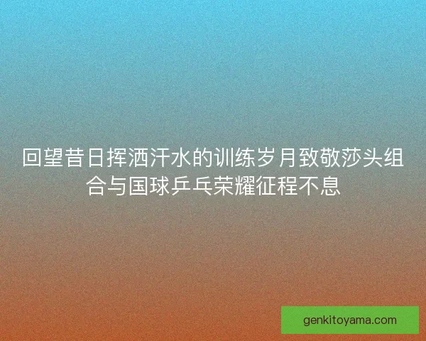 回望昔日挥洒汗水的训练岁月致敬莎头组合与国球乒乓荣耀征程不息